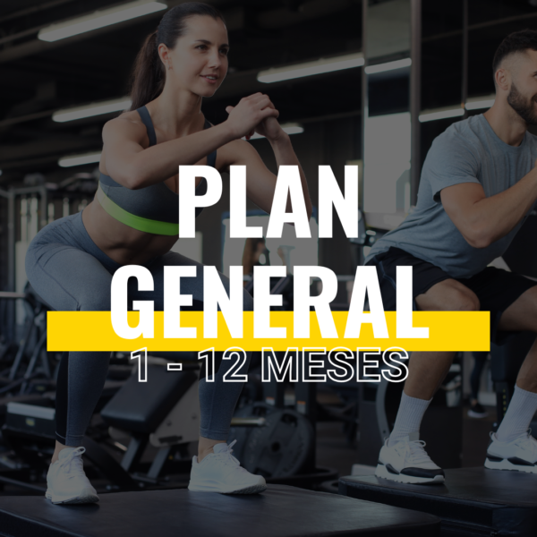 Plan General